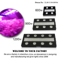 /msite/products/detail/productid/57025370/id/666378.html